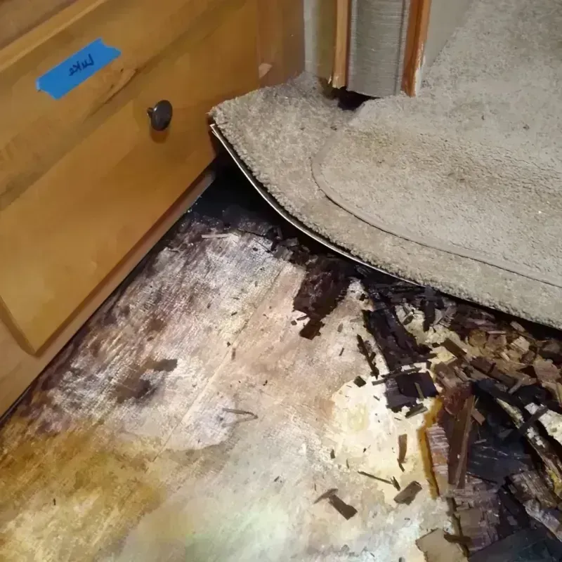 Wood Floor Water Damage in Leland Grove, IL